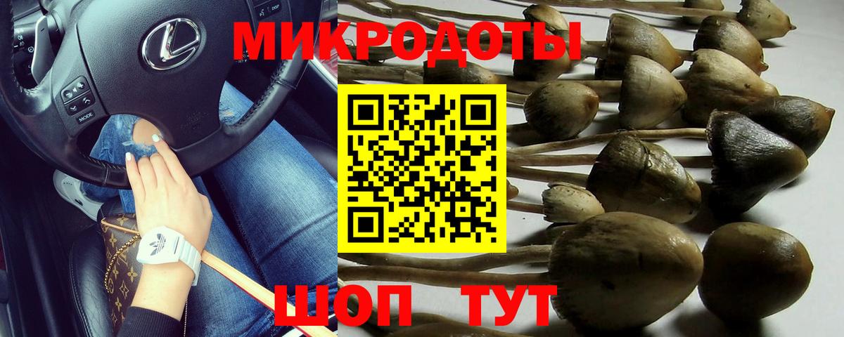 Псилоцибиновые грибы прущие грибы Дербент
