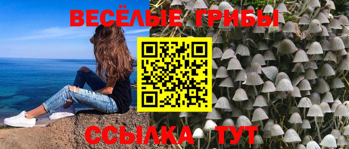 Дербент  Псилоцибиновые грибы Psilocybine cubensis  Вход с VPN  Галлюциногенные грибы мухоморы 